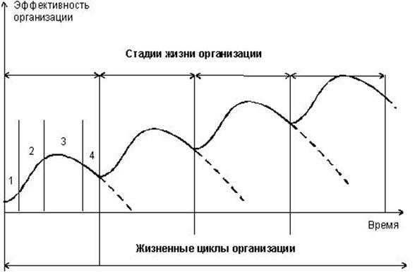 Курсовая работа: Управление персоналом на стадиях жизненного цикла и стратегиях развития организации