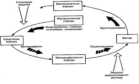 Реферат: Взаимосвязь экологии и философии