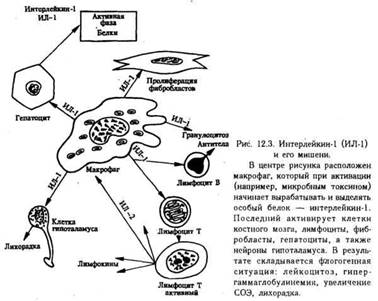 Реферат: Воспаление