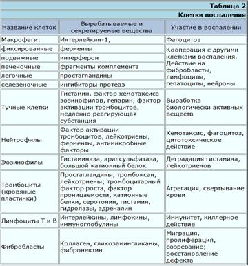 Реферат: Миграция клеток и воспаление