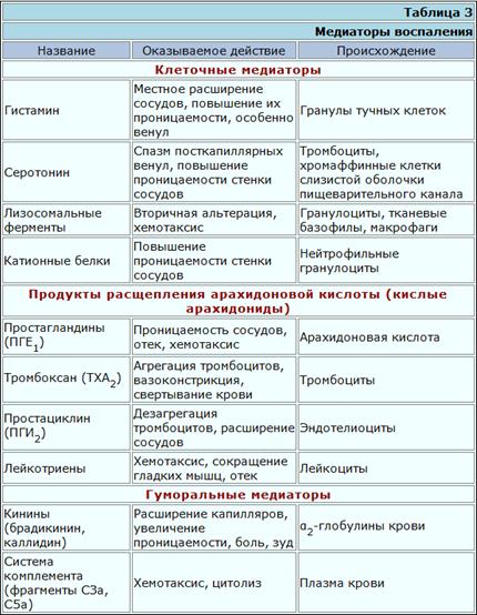 Реферат: Роль макрофагов в воспалительном процессе