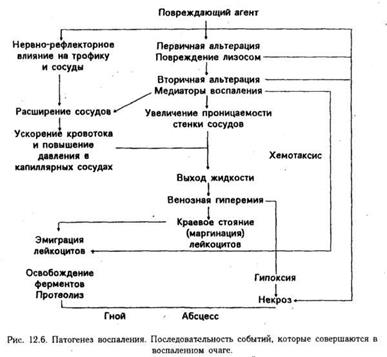 Реферат: Литература - Патофизиология (Воспаление)