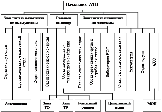 Структура сто автомобилей