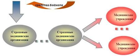 Добровольное медицинское страхование как вид страхования и его особенности » Привет Студент!