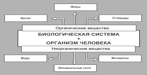 Контрольная работа: Здоровье человека