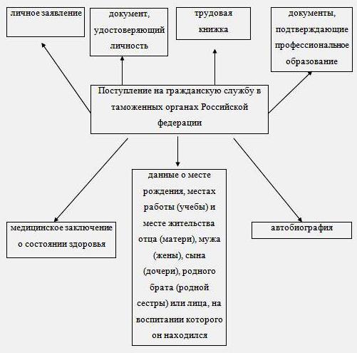 Реферат: Таможенные органы