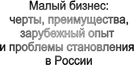 Реферат: Специальные системы налогообложения малого бизнеса