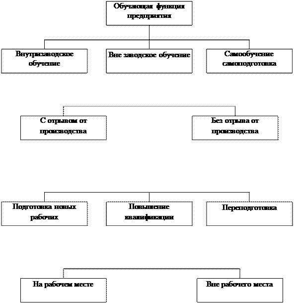 Здоровье школьников и выбор профессии