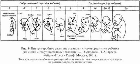 Курсовая работа по теме Особенности развития детей