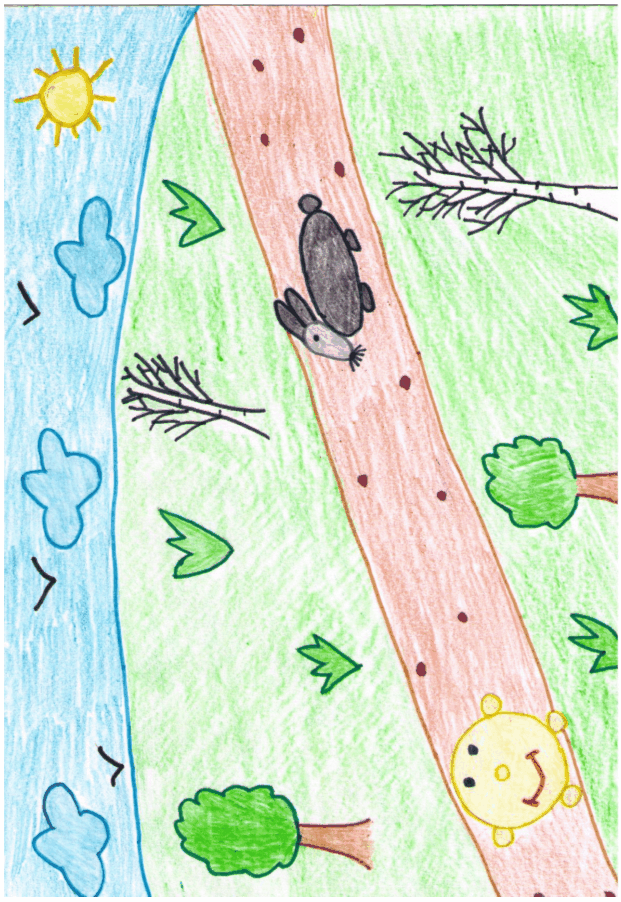 Гдз по информатике 10 шауцукова