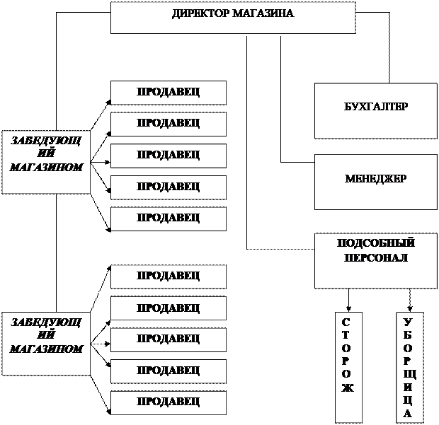 Структура Сети Магазинов