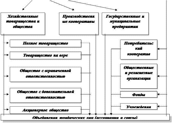 Реорганизация И Ликвидация Юридических Лиц Курсовая Работа