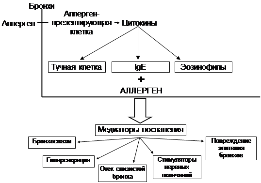 Реферат Бронхиальной Астмы