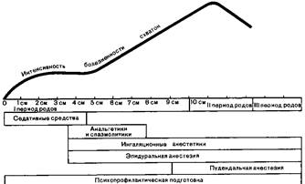 Реферат: История родов 2