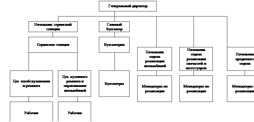Организационная структура тесла