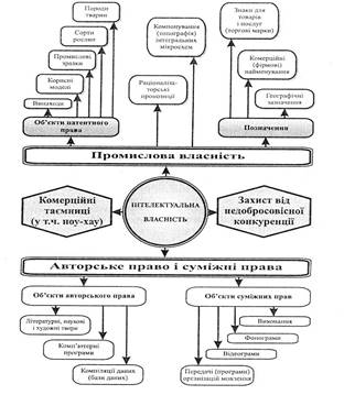 Реферат: Інтелектуальна власність