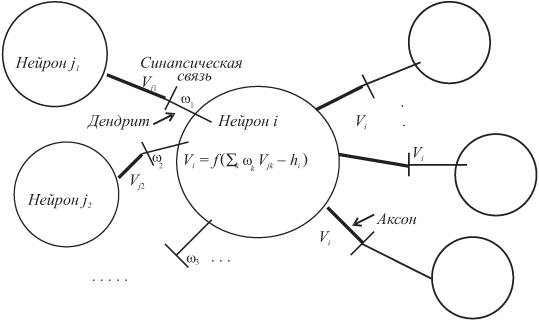 Реферат: Нейрокомпьютерные системы